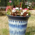Blue pot.
